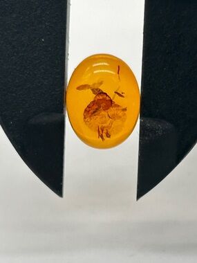 Genuine Baltic Amber Loose Stone